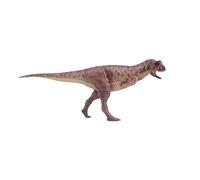 AMITD 1:35 Scale Carnotaurus Figure Abelisauridae Dinosaur Animal Collection Realistic PVC Scientific Art Model Collection Home Decoration Gift for Adult (Brown)