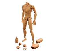 AMITD B001 1/6 Scale Male Narrow Shoulder Body for 12 Inch Men Clothes Fourth Generation Enhanced Version Figure Body, Multicolored, Medium (SJYT-001)