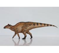 AMITD HLG Studio 1:35 Scale Edmontosaurus Model Realistic PVC Dinosaur Figure Collecor Home Decor Gift for Adult (arancione)