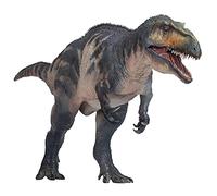 AMITD Modelli di Dinosauri Preistorici (48 Connor Il Torvosaurus)