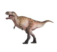 AMITD Modelli di Dinosauri Preistorici (49 Logan Il Nanotyrannus)