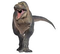 AMITD Modelli di Dinosauri Preistorici (51 Chuanzi Il Tarbosaurus)