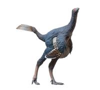 AMITD Modelli di dinosauro prehistoric: 93 Junlang The Caudipteryx