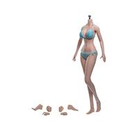 AMITD Phicen TBLeague PLLB2020-S36A 1/6 Scale Phicen Female Seamless Body per Action Figure Pale Without Head Sculpt