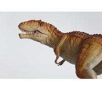 AMITD Studio 1:35 Scale Giganotosaurus Carolinii Behemoth Figure Cretaceous Allosauroidea Dinosaur Realistic PVC Model Collection Gift for Adult (Tiger Stripe)