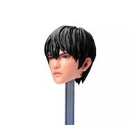 AMITD TBLeague Action Figure Body Collection 1/6 Sculpt Asian Boy Black Plastic Hair Head for 12inch Phicen,TBLeague Action Figure Body Collection