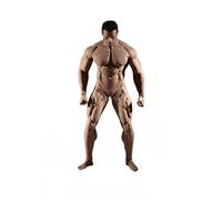 AMITD TBLeague PL2018-M35 1/6 Scale Super Flessibile Male Seamless Body 12'' Muscle Men Action Figure Without Head Sculpture