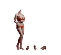 AMITD TBLeague PLLB2020-S39A 1/6 Scale Phicen Female Seamless Body per Action Figure Suntan Without Head Sculpt