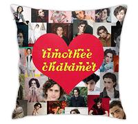 Amkong Timothee Chalamet federa per cuscino con cerniera invisibile stampata 45,7 cm 45,7 cm