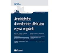 Amministratore di condominio: attribuzioni e gravi irregolarità