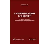 Amministrazione del rischio