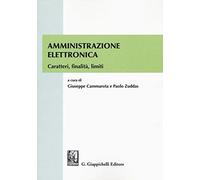 Amministrazione elettronica. Caratteri, finalità, limiti