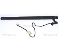 Ammortizatore pneumatico, Cofano bagagli /vano carico Dx per BMW X6