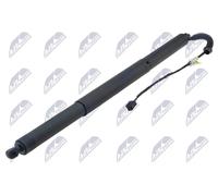 NTY Ammortizatore pneumatico, Cofano bagagli /vano carico compatibile con AUDI