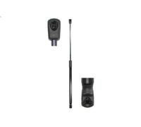 Ammortizatore pneumatico, Cofano bagagli /vano carico per A3 Sportback 1 2016-