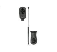Ammortizatore pneumatico, Cofano bagagli /vano carico per C4 Coupé 2 2004-2007