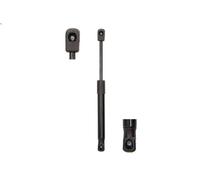Ammortizatore pneumatico, Cofano bagagli /vano carico per TT (8N3) 1.8 2002-2006