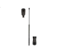 Ammortizatore pneumatico, Cofano bagagli /vano carico per XSARA PICASSO 2 2003-