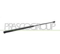 Ammortizatore pneumatico, Cofano bagagli /vano carico posteriore Sx per VW POLO
