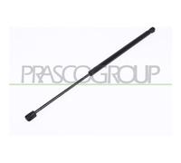 Ammortizatore Pneumatico Cofano Bagagli /vano Carico Prasco PG0099055 per