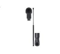 Ammortizatore pneumatico, Cofano bagagli /vano carico STABILUS per C1 1 2005-