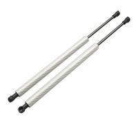 Ammortizzatore 2 Pezzi Molle A Gas Per Portellone Posteriore Puntoni, Supporto Sollevamento Per Nissan Per Presage U31 2003 2004 2005 2006 2007 2008 2009 Molle a Gas Portellone(Argento)