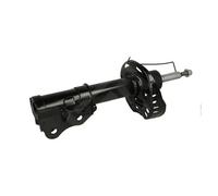 Ammortizzatore 810 061 HART
