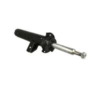 Ammortizzatore Montaggio, esterno 811 415 HART