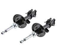 NTY A-CH-060 Ammortizzatore