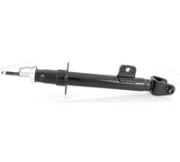 Ammortizzatore a Gas Anteriore Destro per Chrysler 300C 2004-2010 Magnum Dodge