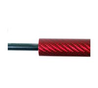 Ammortizzatore A Gas Molla Cofano Anteriore Per Hyundai Per Genesis Coupe BK 2008-2016 Supporto Sollevamento Cofano Anteriore Ammortizzatore Asta Molla(Red carbon fiber)