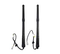 Ammortizzatore A Gas Portellone Elettrico 68910-48071 68920-48031 Per Lexus Per RX350 Per RX450h 2016-2019 Supporto Portellone Posteriore Ammortizzatori Gas Elettrici(1 paio)