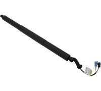 Ammortizzatore A Gas Portellone Elettrico Per BMW Per X1 F48/F49 2018-2019 Portellone Posteriore Elettrico Sollevatore Elettrico Ammortizzatori 51247481807 51247481803(Only Right Side)