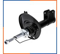 NTY Ammortizzatore A-CT-048 a gas anteriore sinistro per Citroën C4 II B7 1.6 VTi 120