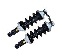 Ammortizzatore a molla con sospensione pneumatica posteriore L/R compatibile con R8 R8 4S3 4S9 Spyder 2016-2021, compatibile con Lamborghini-Huracan 4T0512019(REAR LEFT)