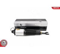 ESEN SKV 58SKV700 Ammortizzatore pneumatico