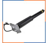 Ammortizzatore Assale posteriore Dx Ponte superiore A-CH-019 NTY