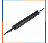 Ammortizzatore a molla posteriore per BMW | A-BM-020, 310984