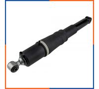 Ammortizzatore a molla posteriore per CADILLAC | A-CH-013, 580-1091