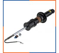Ammortizzatore Assale anteriore Sx Spina superiore A-CH-015 NTY