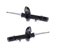 NTY A-PE-017 Ammortizzatore per PEUGEOT