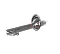 Ammortizzatore AGHGH-322550 GH