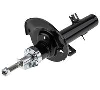 Ammortizzatore Spoiler anteriore A-PE-015 NTY NTY