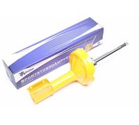 Ammortizzatore anteriore Renault Clio TA-Technix
