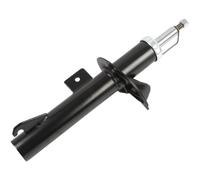 Ammortizzatore Anteriore Sinistro Per Ford Transit Connect P65_ P70_ P80_