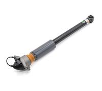 Ammortizzatore ARNOTT EUROPE MR-5743 per AUDI A3 (8V1, 8VK) 1 2016-2017