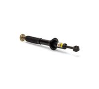 Ammortizzatore ARNOTT EUROPE SK-2812
