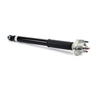 Ammortizzatore ARNOTT EUROPE SK-3384