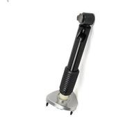 Ammortizzatore ARNOTT EUROPE SK-3607 per BMW X5 (E70) 3 2006-2008