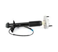 Ammortizzatore ARNOTT EUROPE SK-3816 per BMW X5 (F15, F85) 2 2015-2018